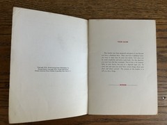 1954 Ulcer Patient Education Pamphlet Wyeth Amphojel Medical Ephemera Booklet