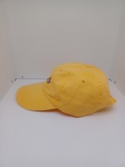 Rare Astra Zeneca Pharmaceutical Promo Hat One Size Adjustable Embroidered