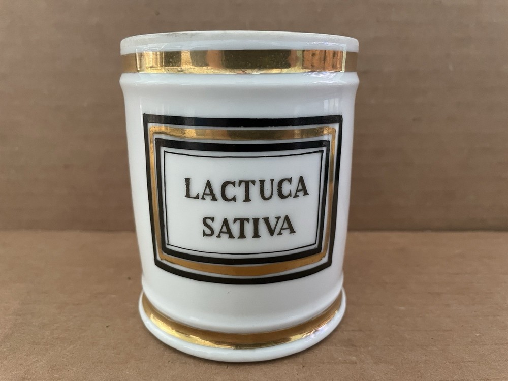 Vintage LACTUCA SATIVA Frazee Freres Porcelain Apothecary Canister IMPERIAL GLAS