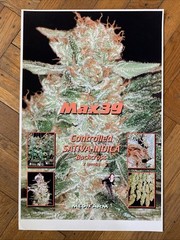 Vintage Medifarm Medical Marijuana Poster Sativa Indica 2002
