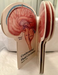 VTG 1990 TEGRETOL „PATIENT GUIDE TO THE HUMAN BRAIN“ PHARMA LOGO ADVERTISING