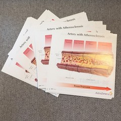 Drug Rep Promo Cholesterol Artery Display Model w Educ. Flyers AstraZeneca