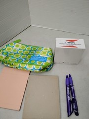 VTG & Mod Pharmaceutical Advertising Rep Paper Pens Case Note Pad ProVico Caduet