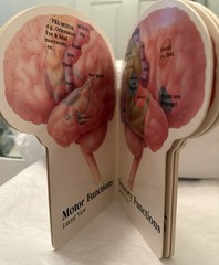 VTG 1990 TEGRETOL „PATIENT GUIDE TO THE HUMAN BRAIN“ PHARMA LOGO ADVERTISING