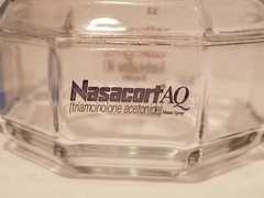 Nasacort AQ Nasal Spray Advertising Medical Collectible Covered Dish NIB Allegra