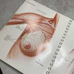 1975 Eli Lilly Pharmaceutical Medical Illustrations Of Surgical Anatomy Macabre