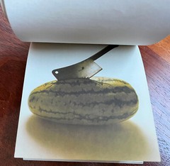 very rare Charles E. Frosst 222 ‚Pain‘ promo Notepad 1978 Canada Pharmaceuticals