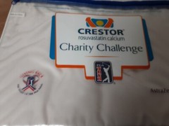 2004 Crestor Charity Challenge Golf Pharmaceutical Advertising Seat Cushion