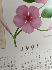 Vintage 1991 Rosy Periwinkle Pharmacy History Pharmacist Poster Afrin Promo