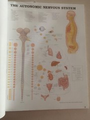 Drug rep 14″X11″ book bound Anatomic Charts