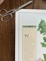 Vintage 1991 Cinchona Tree Pharmacy History Pharmacist Poster Afrin Promo Swag