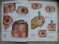 VINTAGE LOT OF 8 Ciba Clinical Symposia issues, 1950s – 1970s