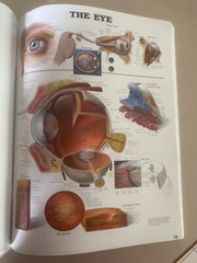 Drug rep 14″X11″ book bound Anatomic Charts