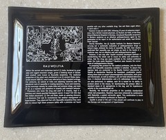 Vintage 1960s Rauwolfia Squibb Pharmaceutical Advertising Glass Candy Dish Tray
