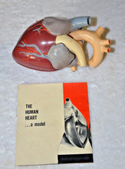 1960’s Merck Sharp Dohme Aldomet Heart Model Pharmaceutical Ad Methyldopa MSD