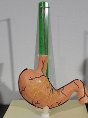 Vtg Prevacid & Zelnorm Doctor Pharmaceutical Display Esophagitis & Ulcers