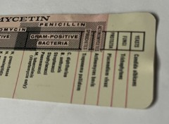 VINTAGE CHLOROMYCETIN ANTIBIOTIC 6-INCH ADVERTISING RULER – PARKE, DAVIS & CO.