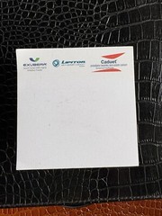 Lipitor Pharmaceutical DRUG REP Paper Memo Cube Notepad Exubera Caduet Used VTG