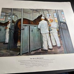 A HISTORY OF PHARMACY IN PICTURES 1954 PRINT Great Gift For Doctor 22″×18″