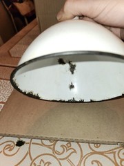 VTG LARGE WHITE, BLACK TRIM PORCELAIN FUNNEL 6 INCH WIDE RARE HARD TO FIND