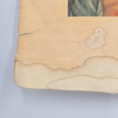 Set of FOUR – A HISTORY OF PHARMACY IN PICTURES by Parke, Davis & Co.
