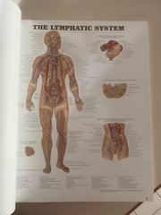 Drug rep 14″X11″ book bound Anatomic Charts