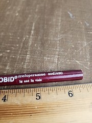 CEFOBID CEFOPERAZONE ROERIG PFIZER PHARMA VTG Advertising Paper Wrapped Pencil