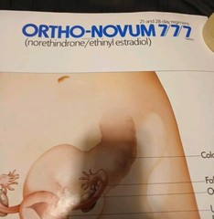 Vinatge 1986 Female Reproductive System ORTHO-NOVUM 777 20×34 Poster ORTHO…