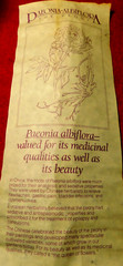C/J~Apothecary Jar Eli Lilly „Paeonia Albiflora“ Pharmaceutical 4-58 Blue Empty