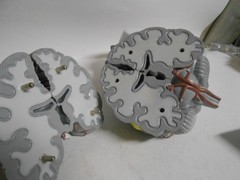 Human Brain Model Medical Doctor Office Display Teaching Education Study Science