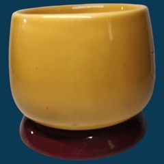 Aricept Drug Rep Pharmaceutical Collectible YELLOW Cup / Mug w/ Matching Coaster