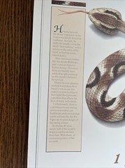 Vintage 1991 Pit Viper Venom Pharmacy History Pharmacist Poster Afrin Promo Swag