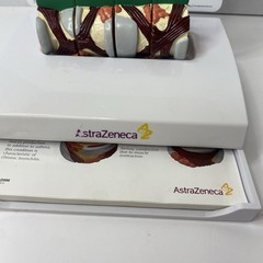 AstraZeneca Bronchus Airway Medical Anatomical Model Doctor Office Display