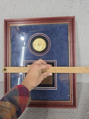 Pfizer Drug Company Framed Plaque Award Rare Pharmaceutical Collectible