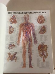 Drug rep 14″X11″ book bound Anatomic Charts