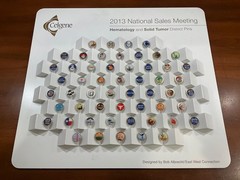 Rare Celgene 2013 National Sales Meeting District Pin Set – 50+ Pins Display
