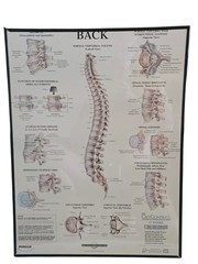 Purdue Pharma VIntage OxyContin Pharmaceutical Rep Collectible Poster