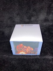 POST IT NOTE Cube-Strattera atomoxetine Pharmaceutical Rep Advertising-Sealed