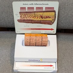 Drug Rep Promo Cholesterol Artery Display Model w Educ. Flyers AstraZeneca