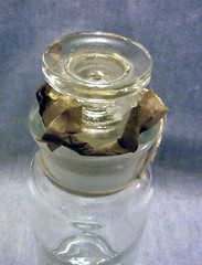 NOS TCW (Wheaton) Co 8oz Apothecary Jar w Lid Powder Surveillance Bottle US NAVY