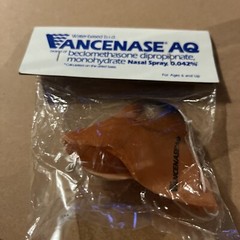PHARAMACEUTICAL ADVERTISING Nasal Spray VANCENASE AQ Dog Nose Face PROMO