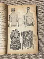 Vintage Advertising Heumann Family Health Book Patent Quack Medicine 1936 NYC