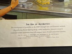 A HISTORY OF PHARMACY IN PICTURES 1954 PRINT Great Gift For Doctor 22″×18″