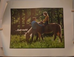 Lot of (2) Vintage “Their World” Ortho-Novum Birth Control Advertisement Poster