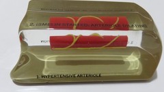 4 Pharmaceutical Drug Rep Advertising Lorelco Ismelin Duragesic Astra Zeneca