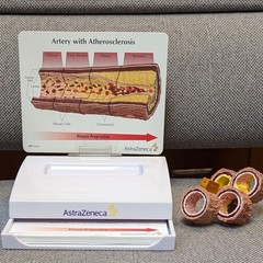 Drug Rep Promo Cholesterol Artery Display Model w Educ. Flyers AstraZeneca