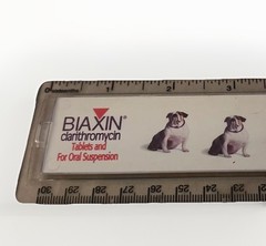 Biaxin Bix the Bulldog Lucite 12” Ruler Antibiotic Pharma Drug Rep 1990’s