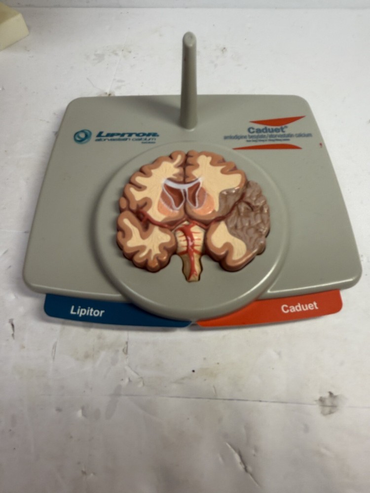 Vintage Drug Pharmaceutical Medical Rep Lipitor CAduet Brain Display