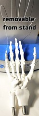 „Anatomical Arthritis Model“ Of a Hand, Foot, & Spine ~Pfizer~ Celebrex/Bextra