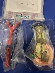 Gemzar Pancreas 3D Doctor’s Office Display